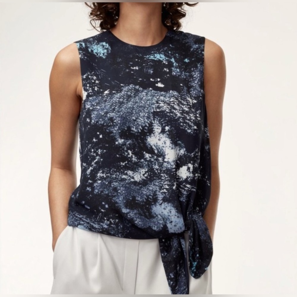 Babaton Aritzia Hopkins Blouse